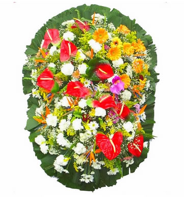 Coroa de Flores SAN K